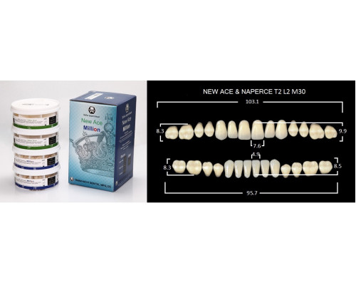 Зубы акриловые A3 (T2/L2 M30) гарнитуры в бобинах 20х28шт., Yamahachi Dental